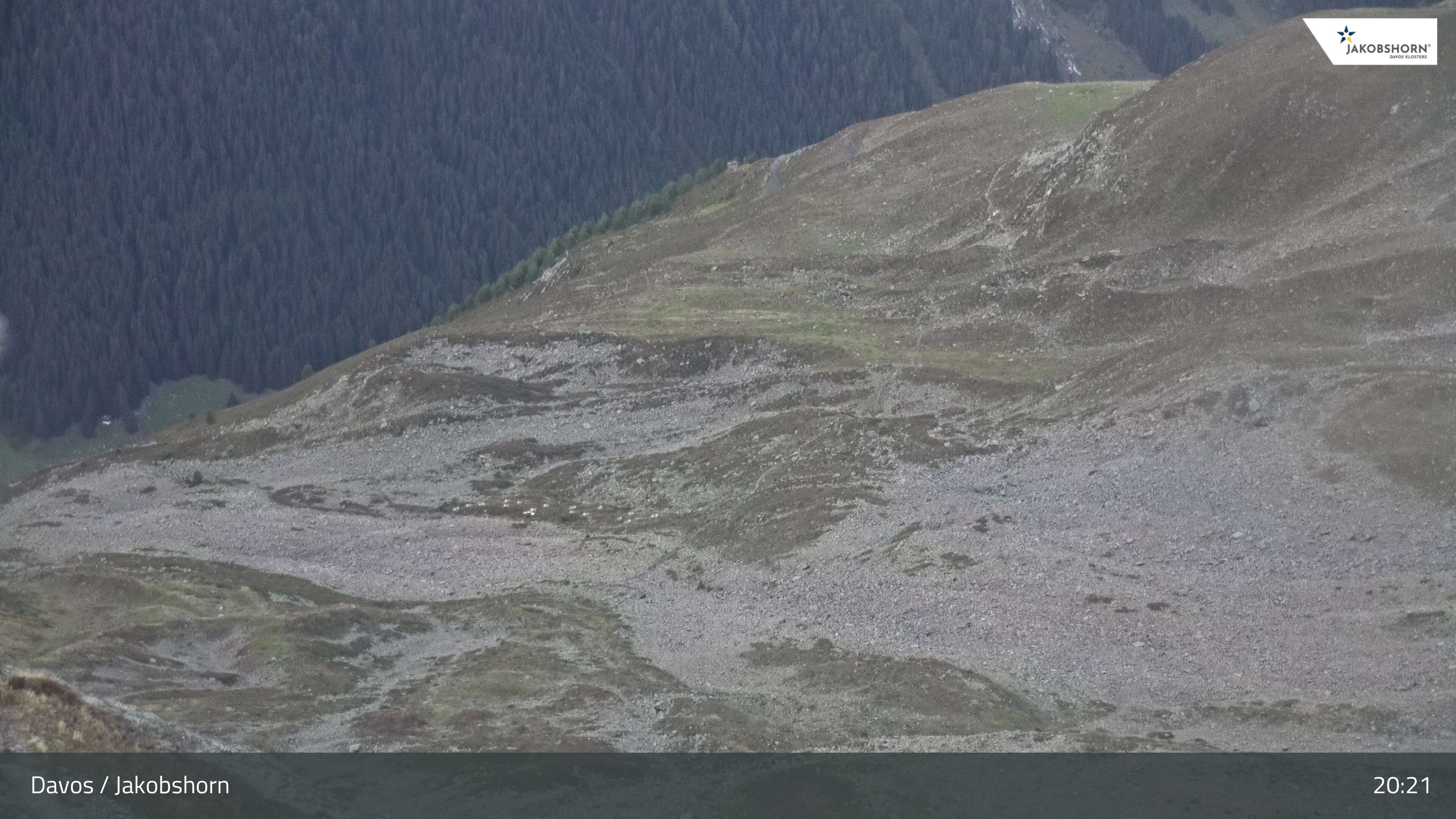 Davos: Platz - Jakobshorn, Blick Teufi