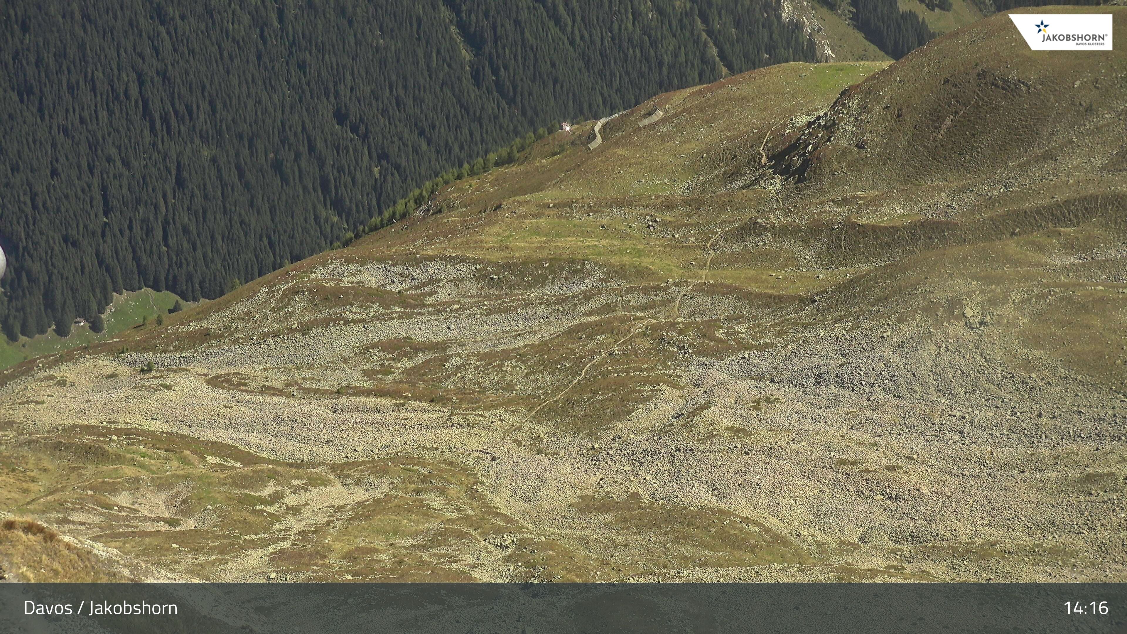 Davos: Platz - Jakobshorn, Blick Teufi