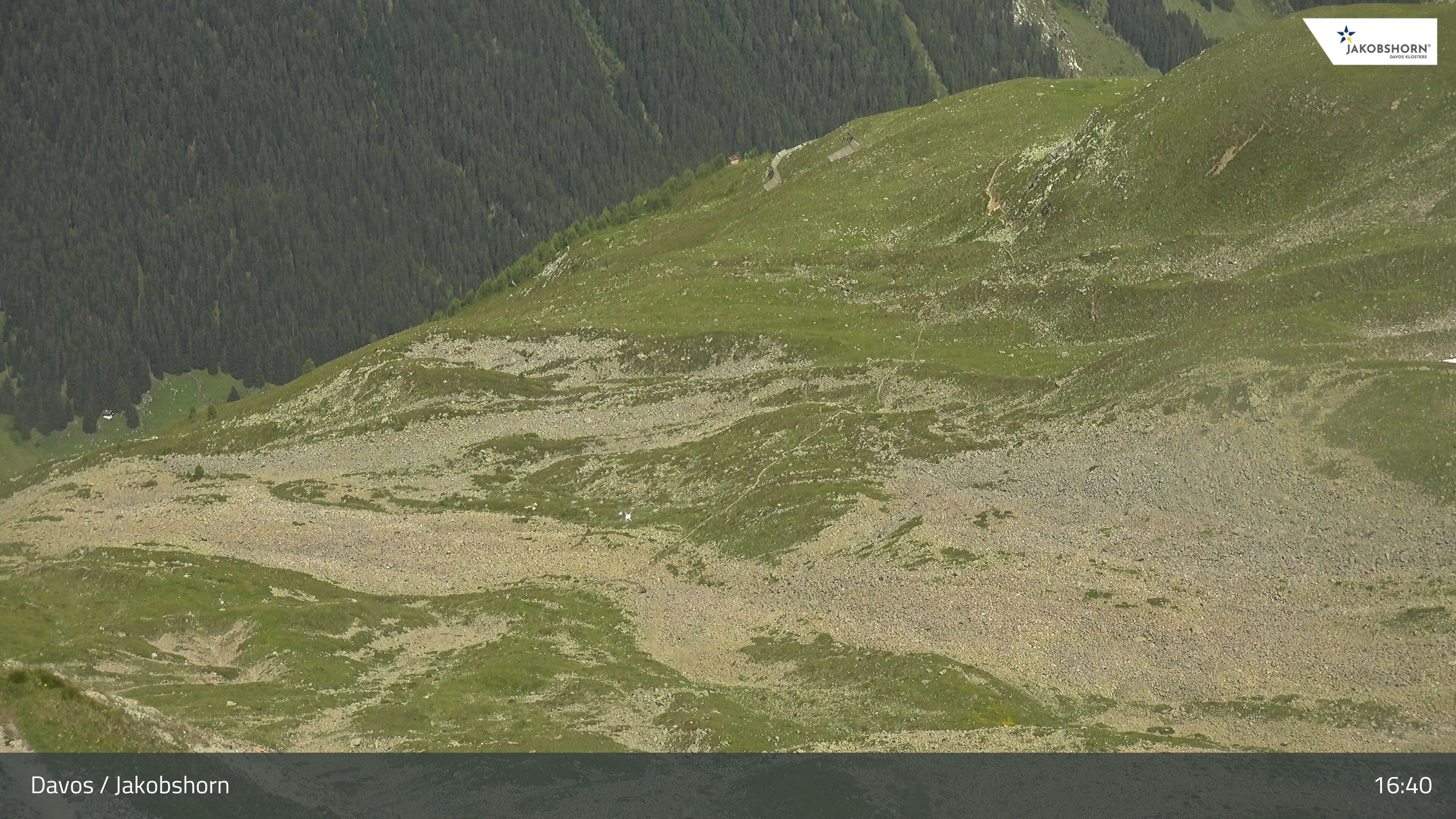Davos: Platz - Jakobshorn, Blick Teufi