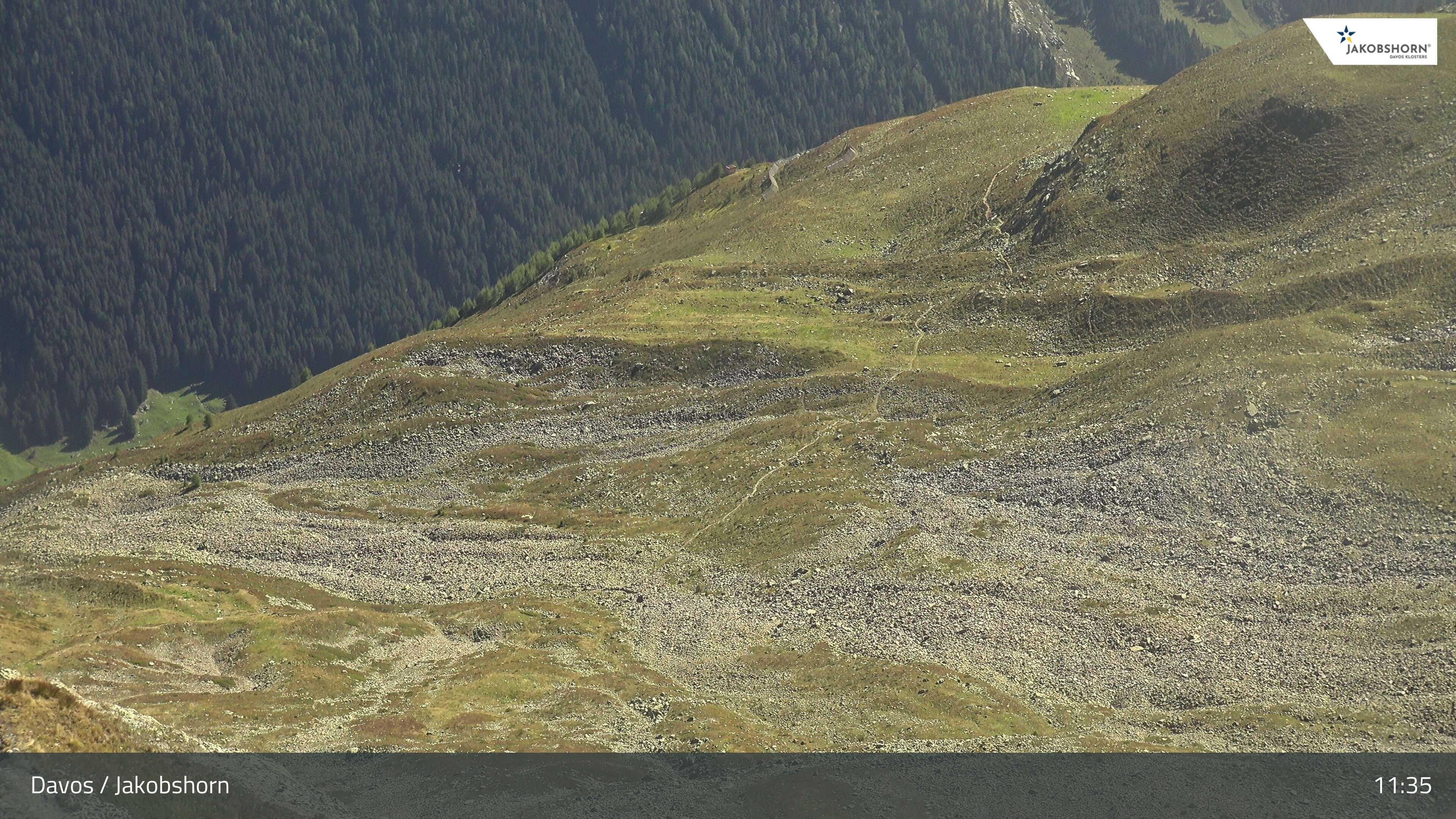 Davos: Platz - Jakobshorn, Blick Teufi