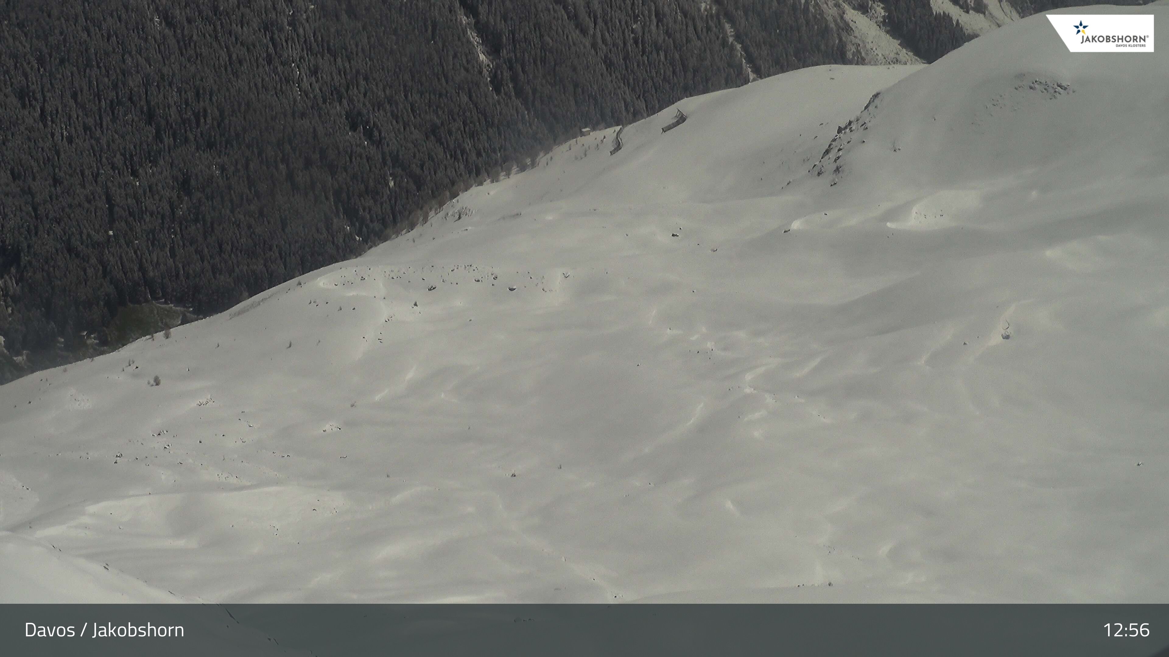 Davos: Platz - Jakobshorn, Blick Teufi