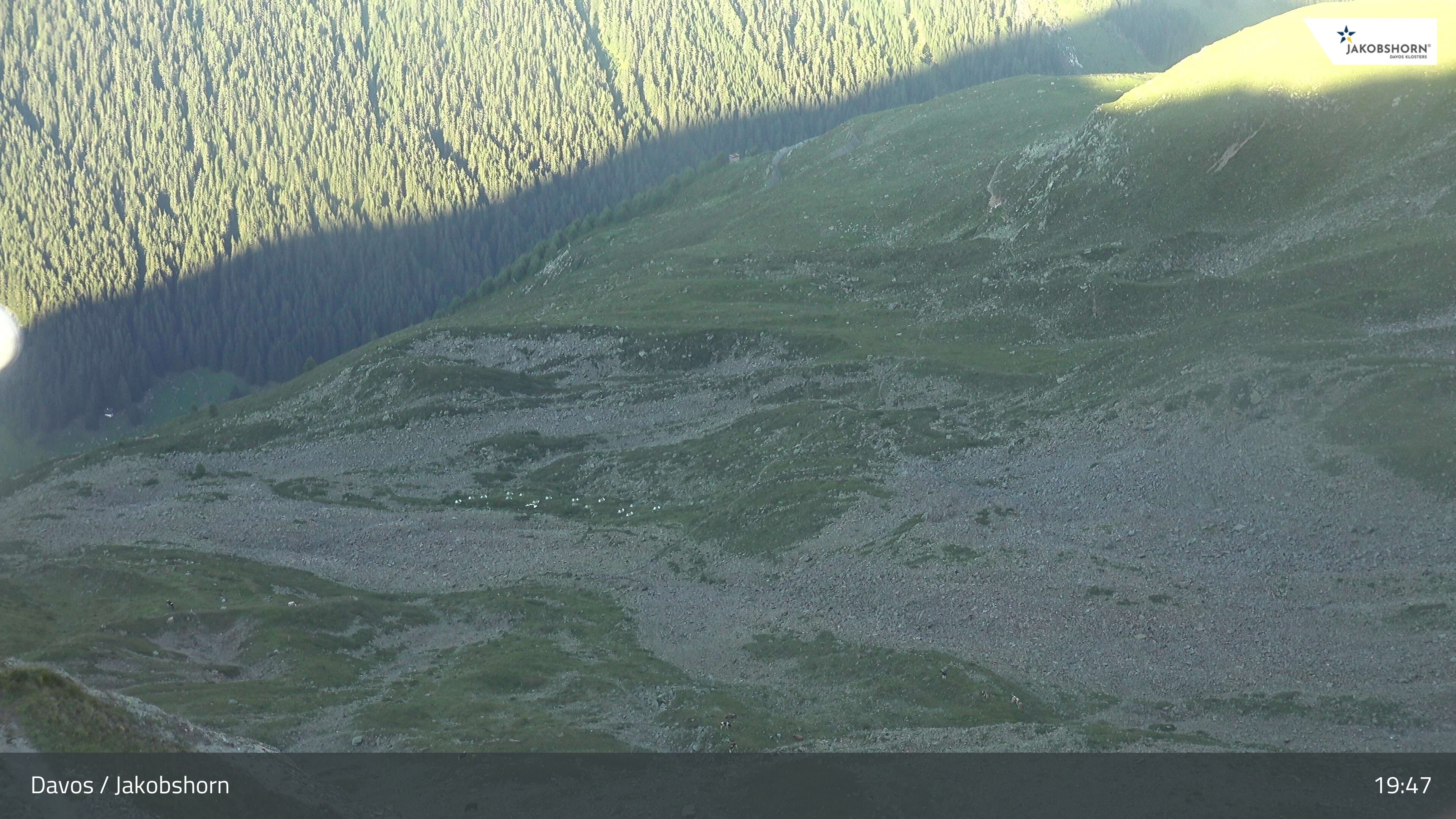 Davos: Platz - Jakobshorn, Blick Teufi