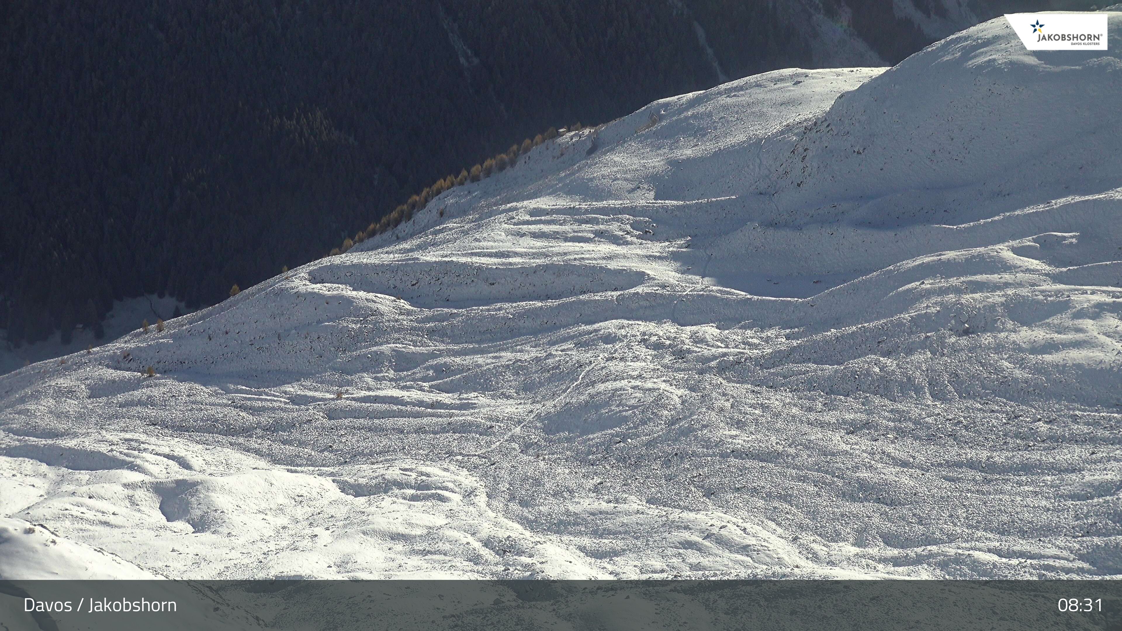 Davos: Platz - Jakobshorn, Blick Teufi