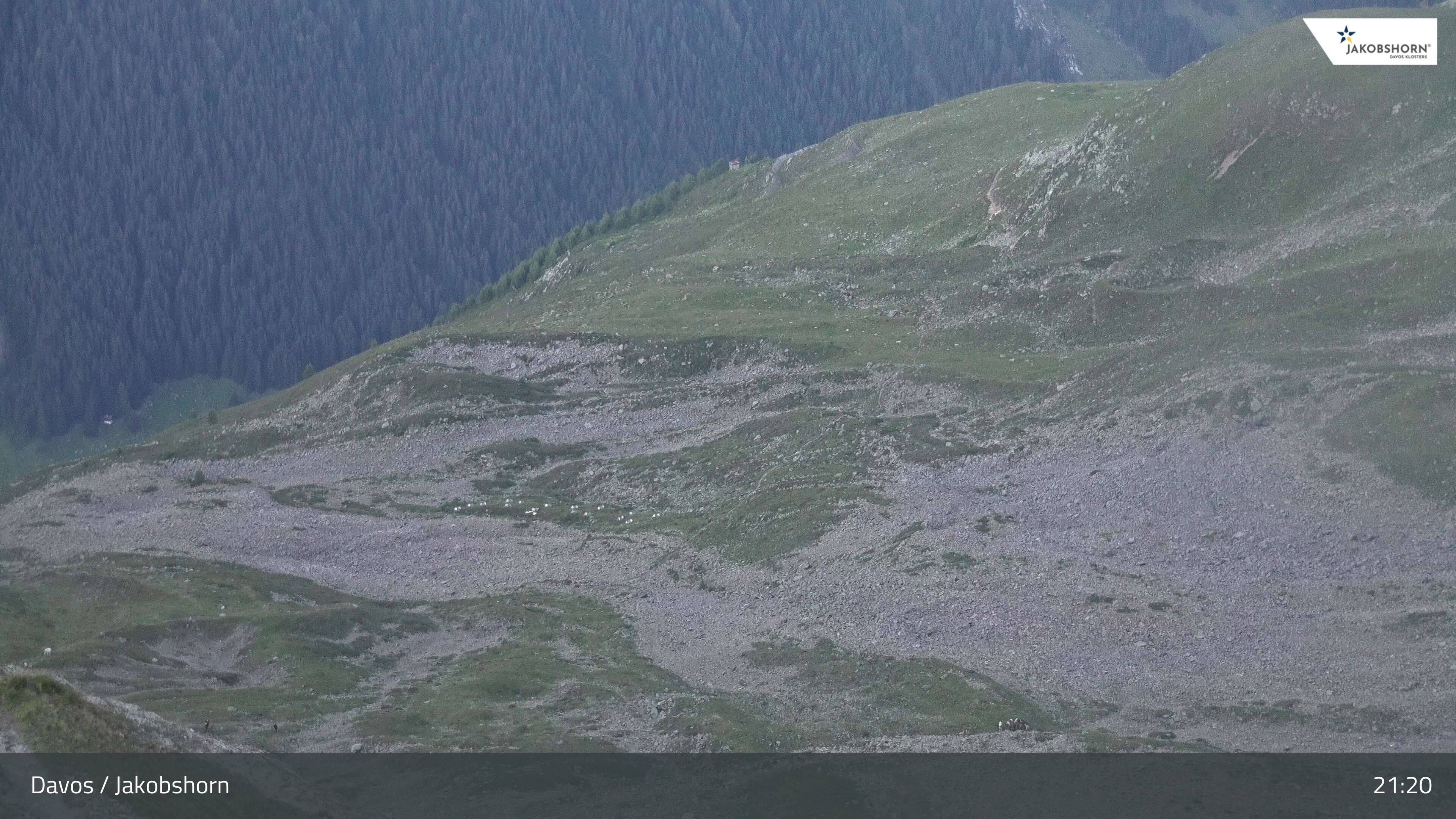 Davos: Platz - Jakobshorn, Blick Teufi