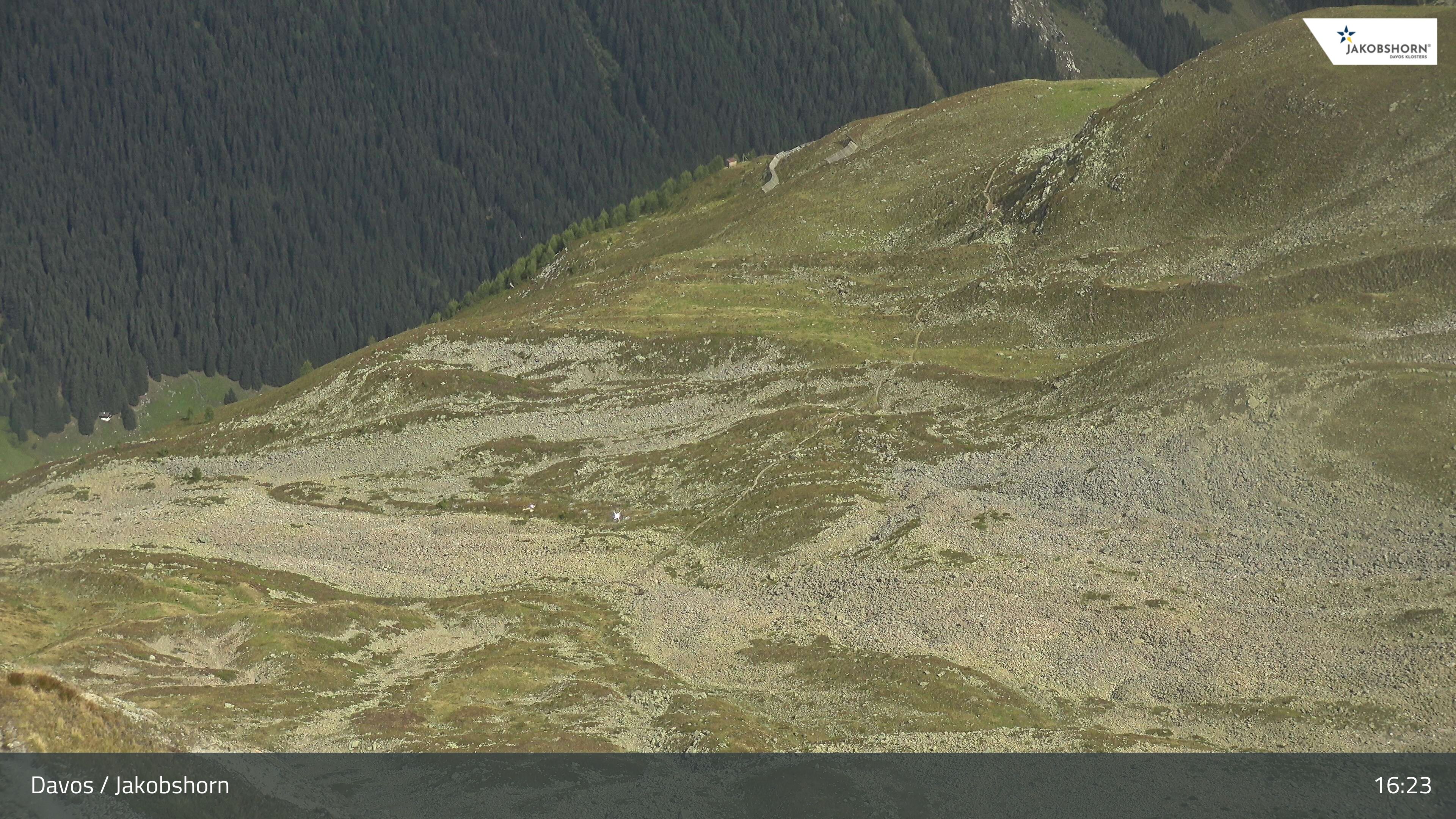 Davos: Platz - Jakobshorn, Blick Teufi