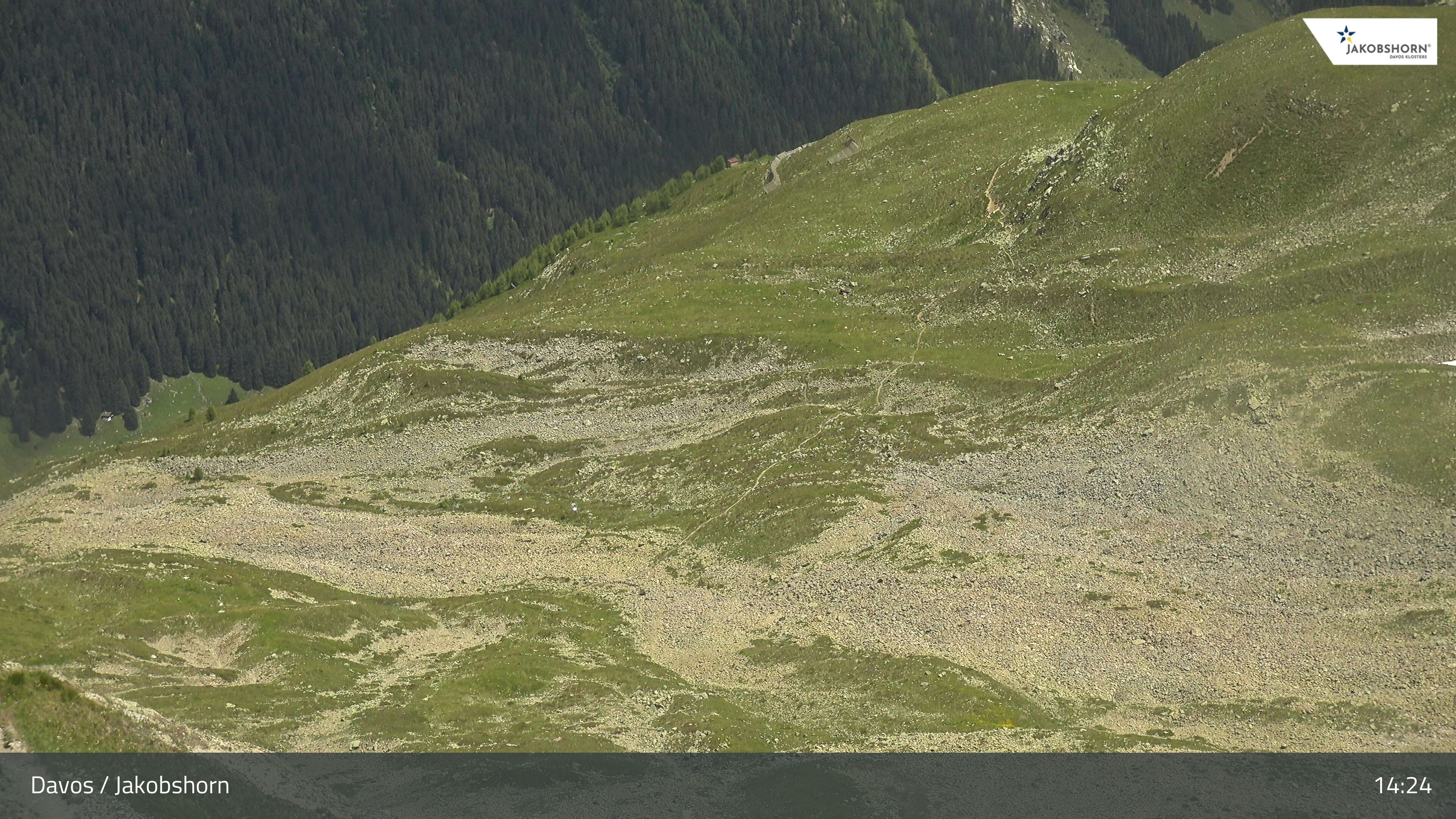 Davos: Platz - Jakobshorn, Blick Teufi