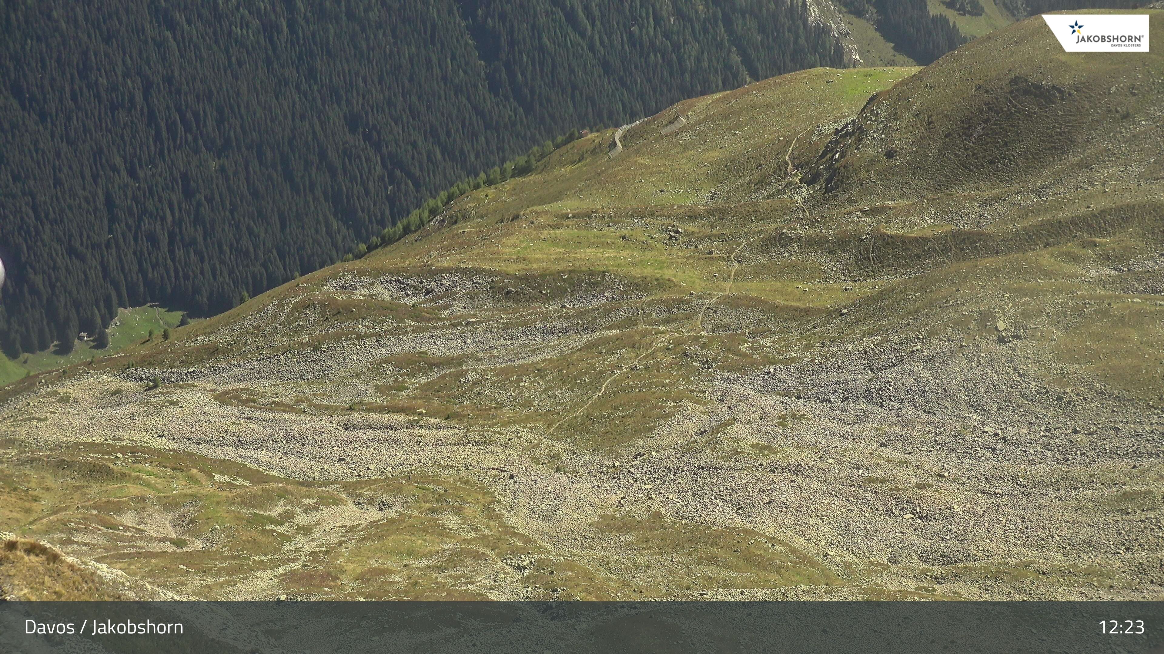 Davos: Platz - Jakobshorn, Blick Teufi