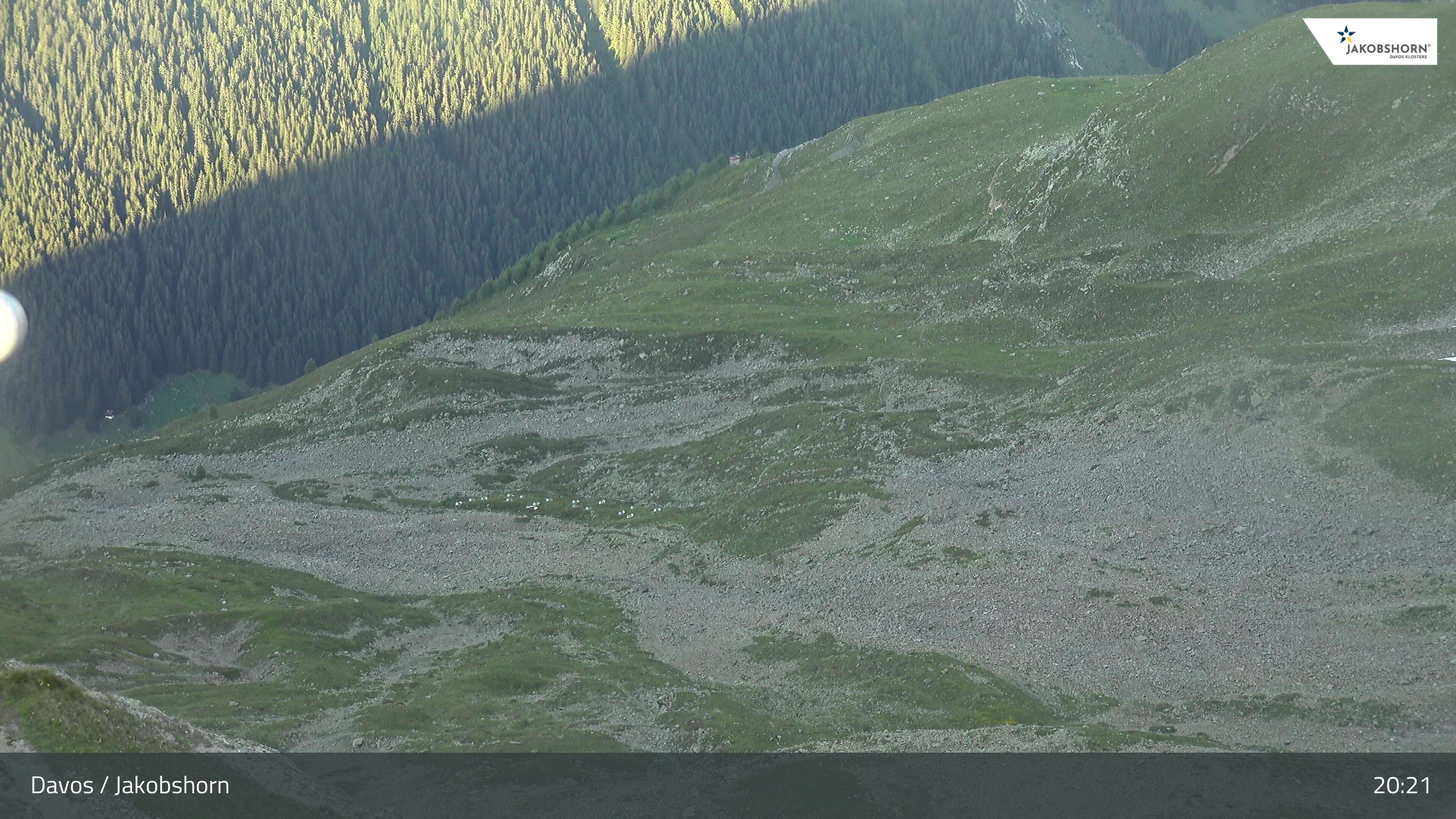 Davos: Platz - Jakobshorn, Blick Teufi