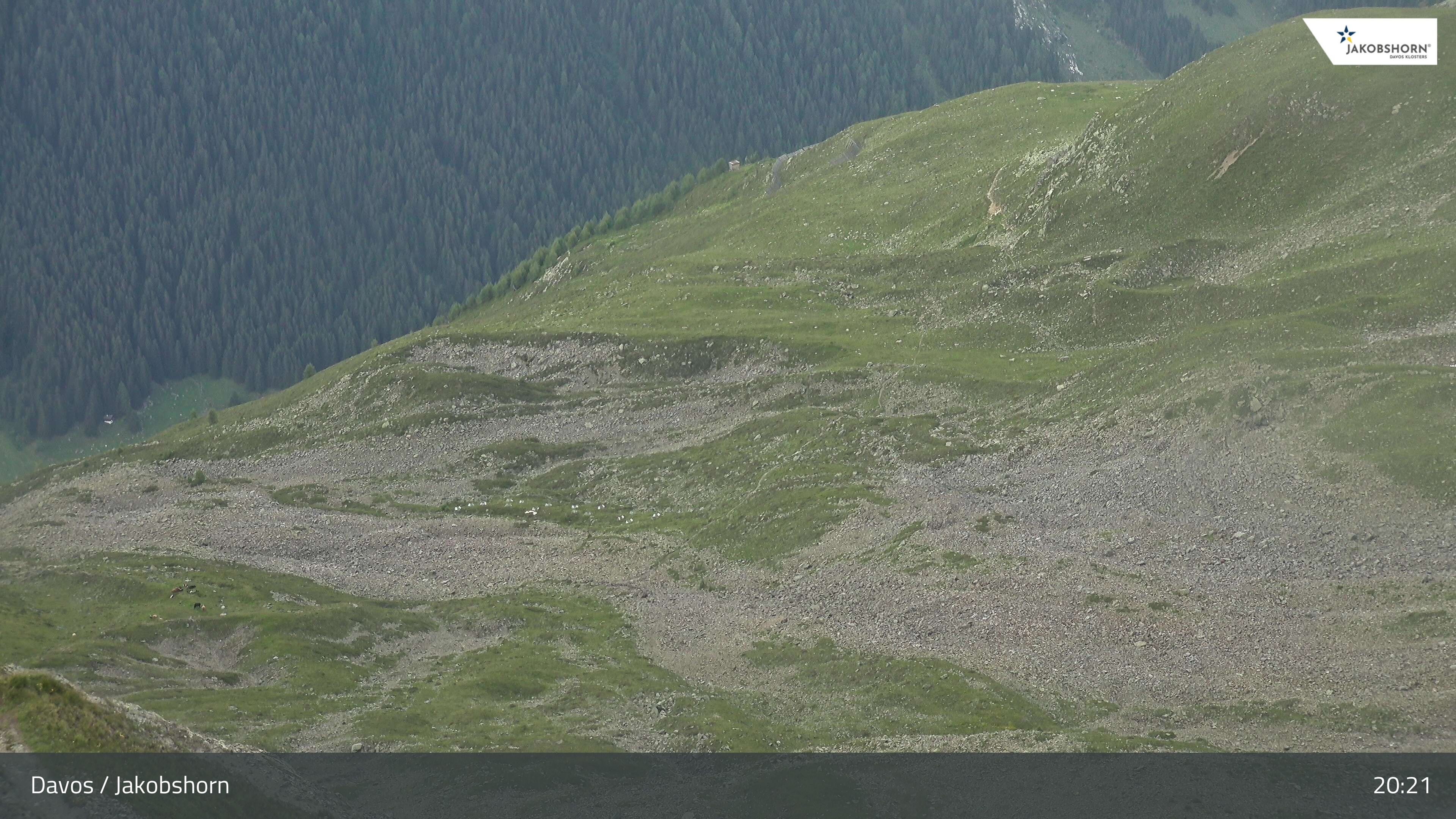 Davos: Platz - Jakobshorn, Blick Teufi