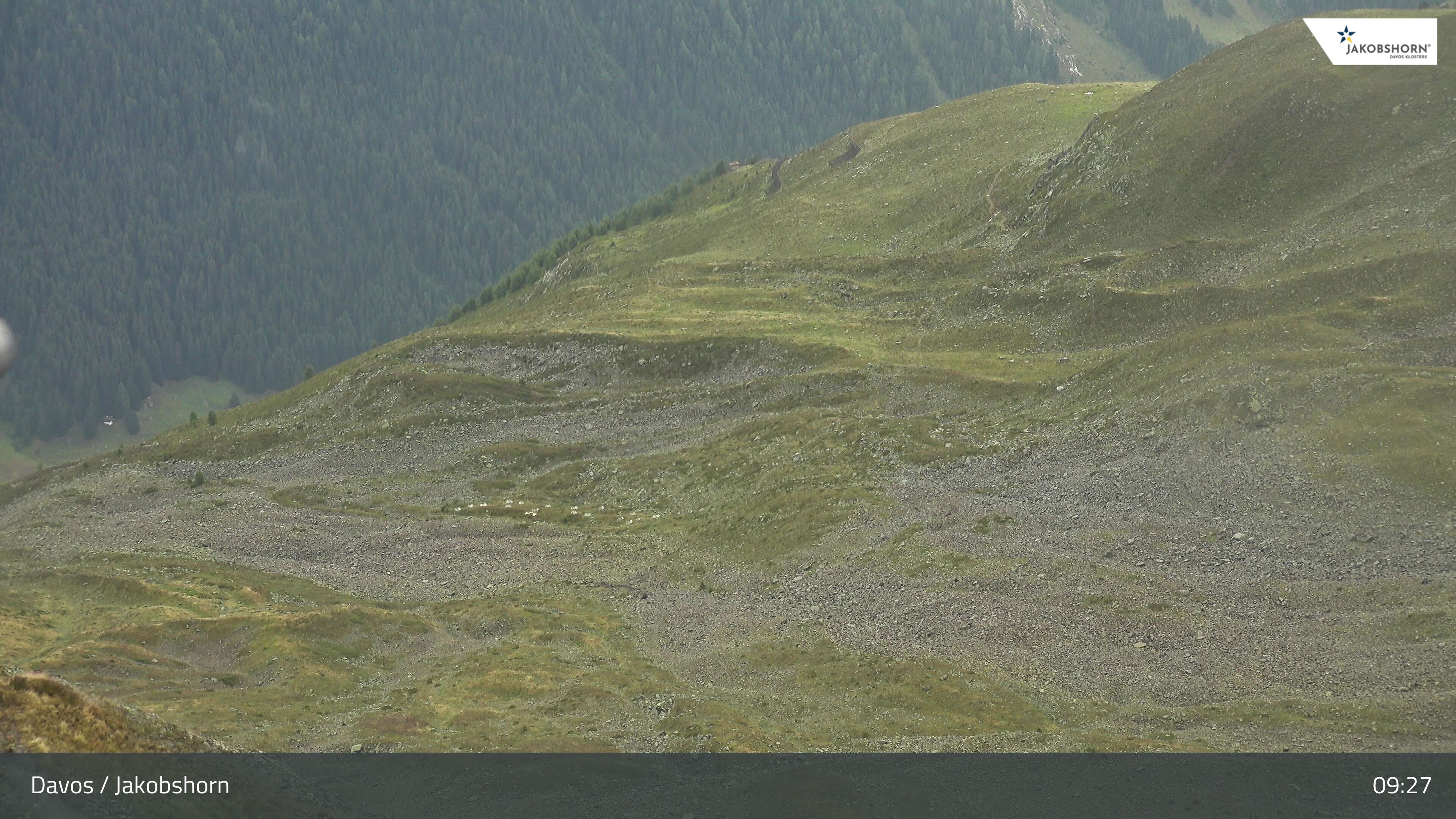 Davos: Platz - Jakobshorn, Blick Teufi