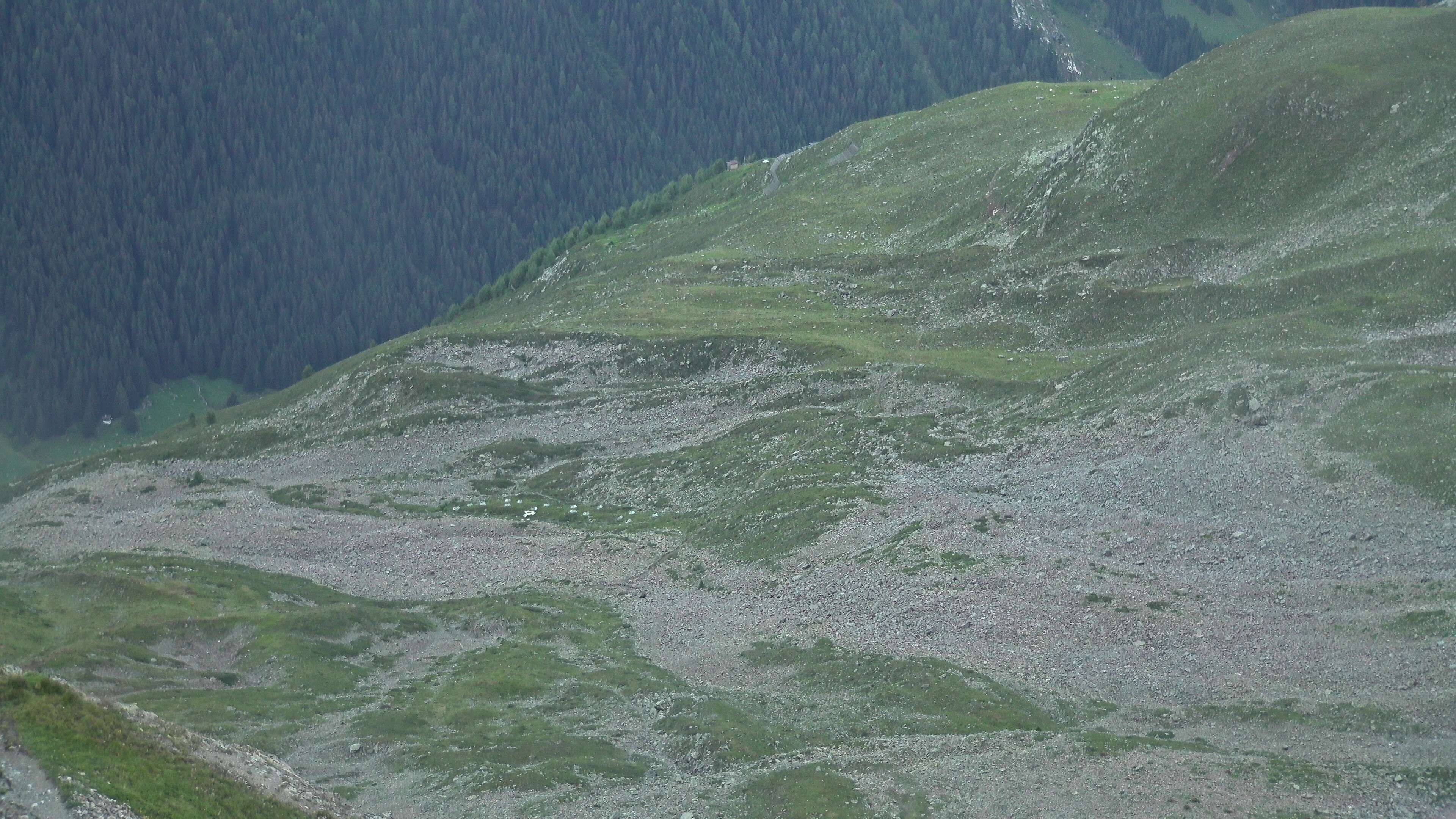 Davos: Platz - Jakobshorn, Blick Teufi