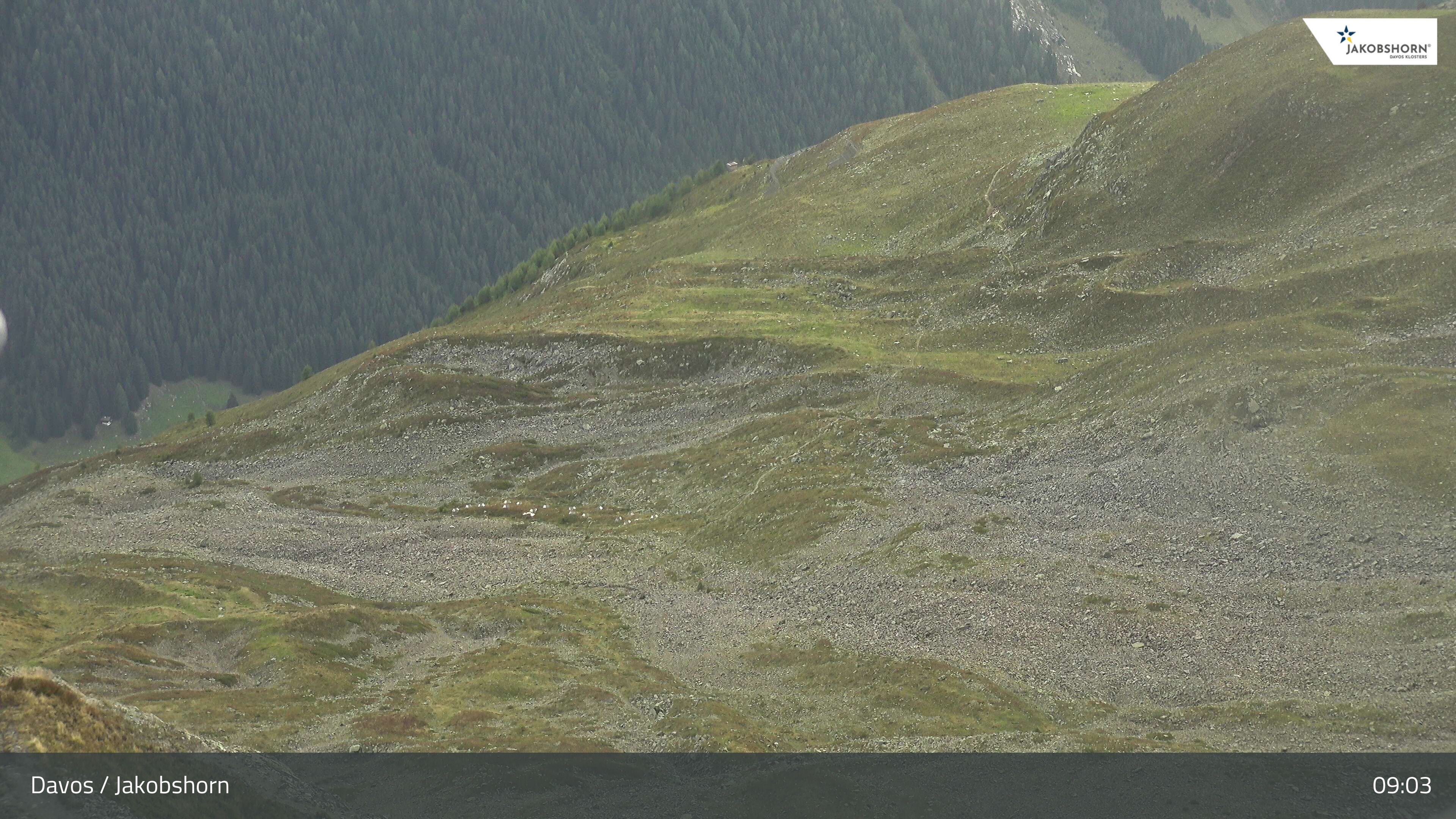 Davos: Platz - Jakobshorn, Blick Teufi