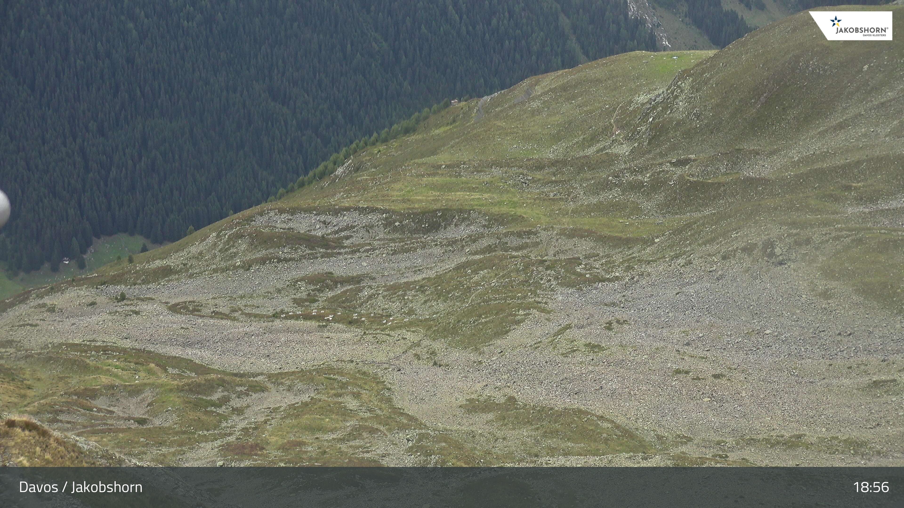Davos: Platz - Jakobshorn, Blick Teufi