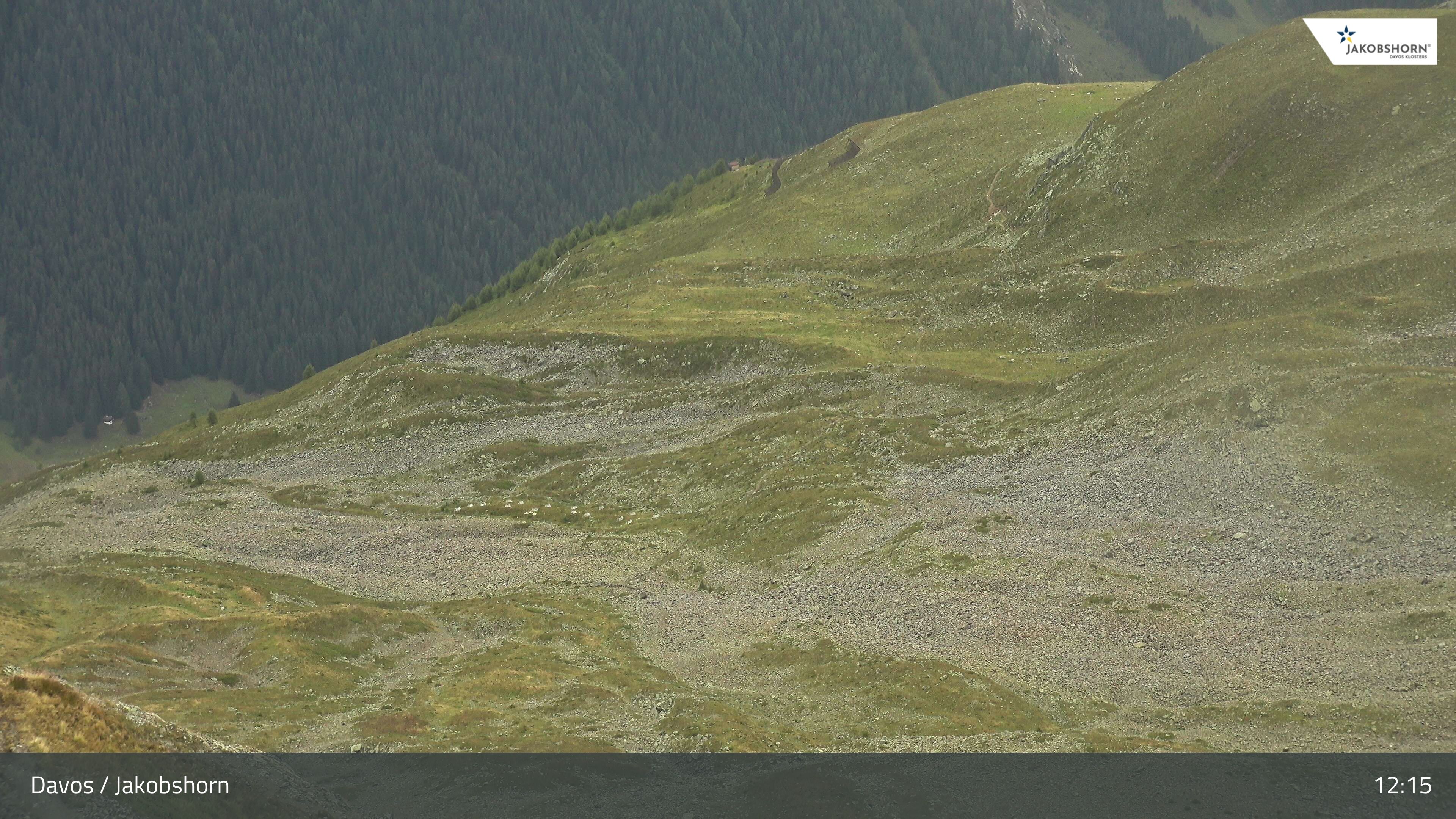 Davos: Platz - Jakobshorn, Blick Teufi