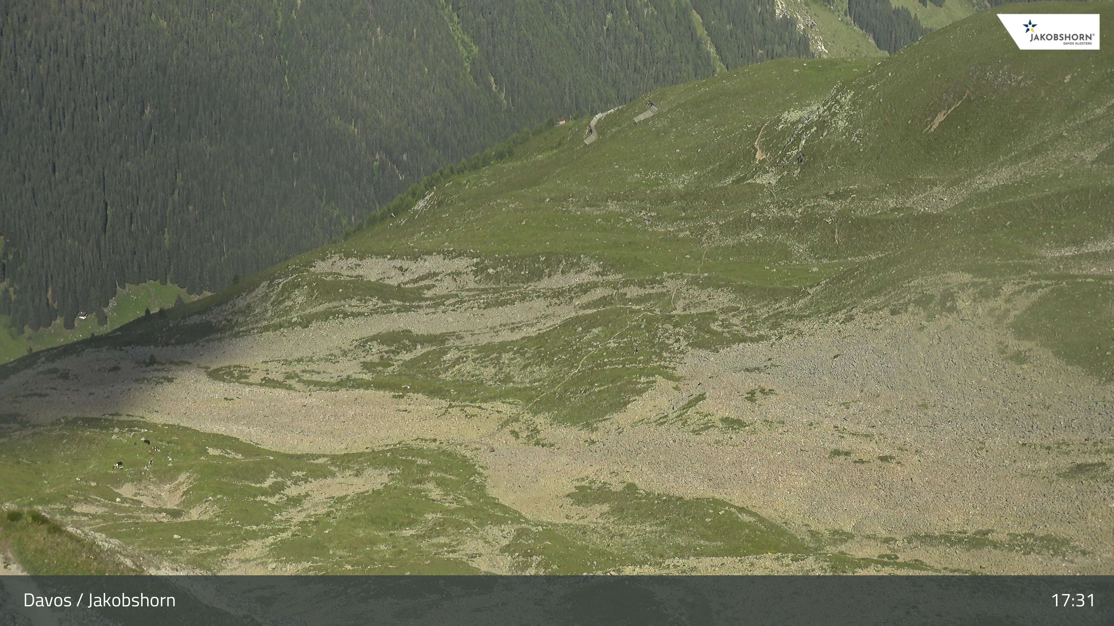 Davos: Platz - Jakobshorn, Blick Teufi