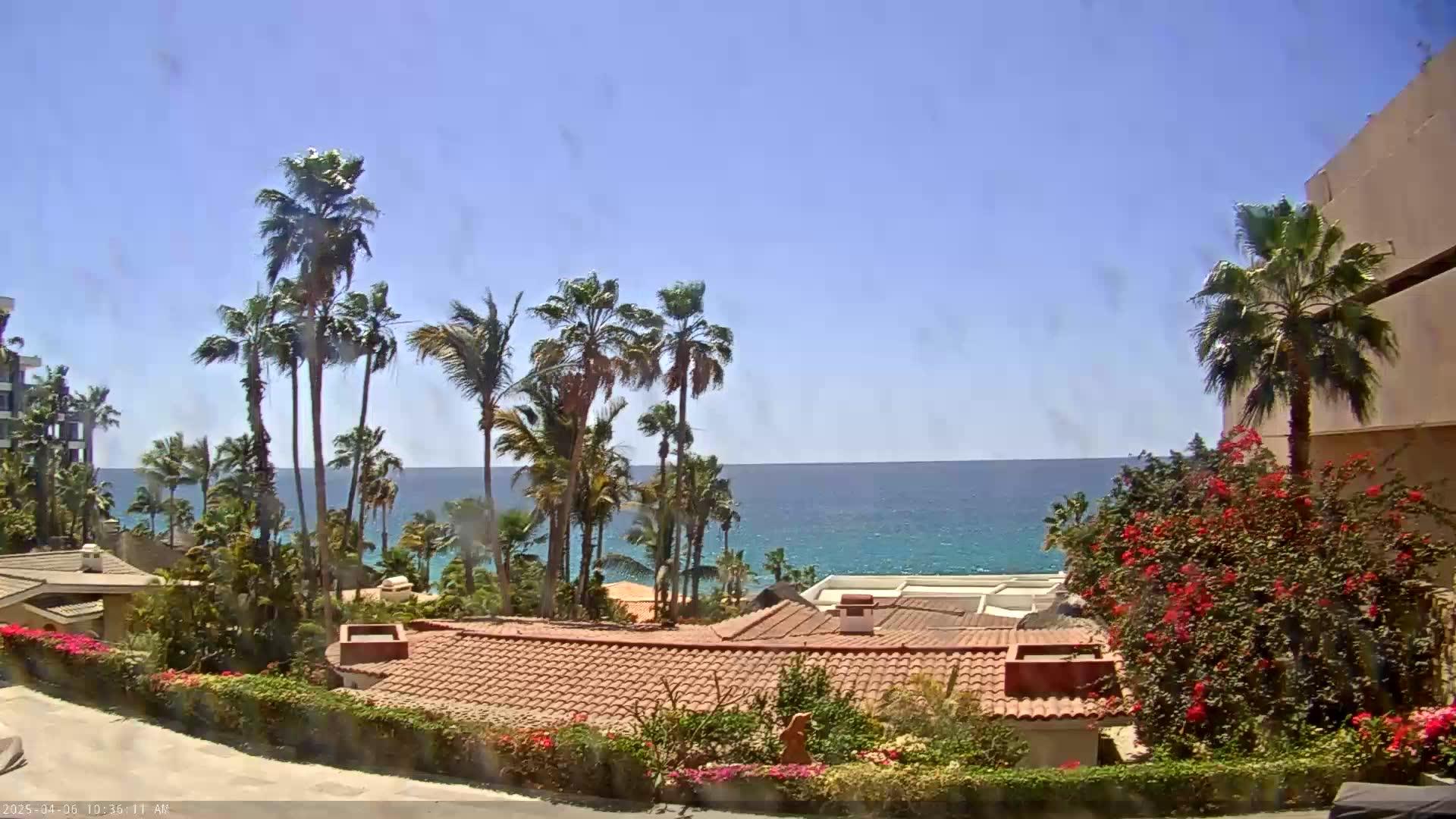 San Jose Del Cabo Webcam