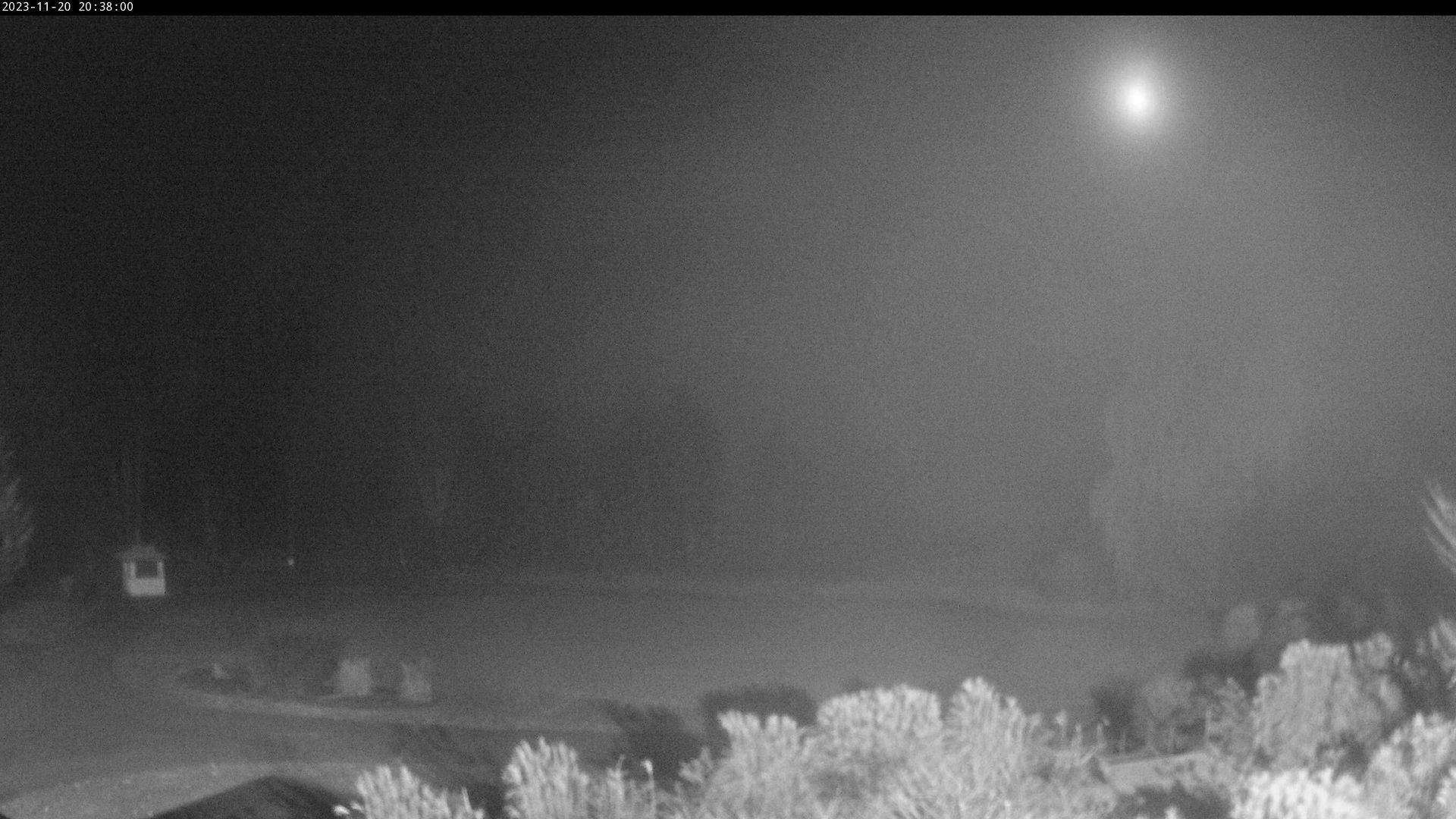 Traffic Cam Pemberton