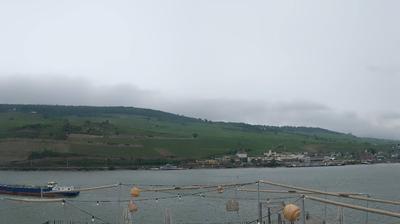 Rüdesheim am Rhein today