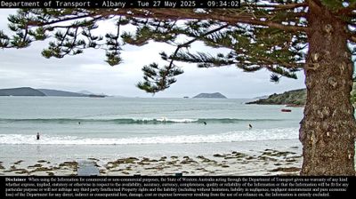 Recent Albany Webcam Image