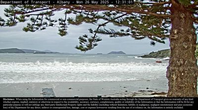 Albany Daytime Webcam Image