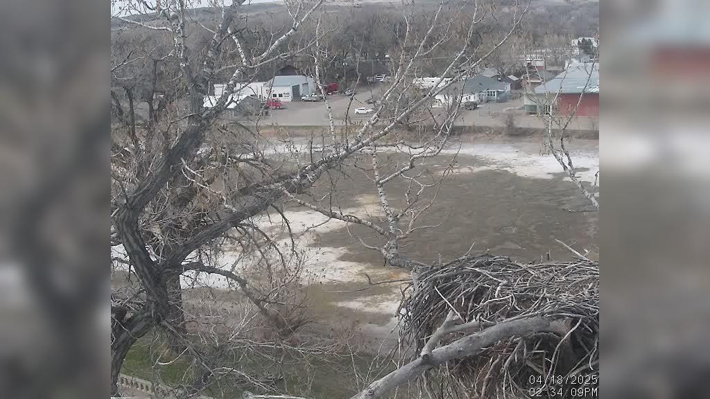 Traffic Cam Miles City: Main Street