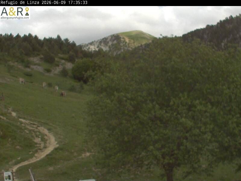 Traffic Cam Anso › North-East