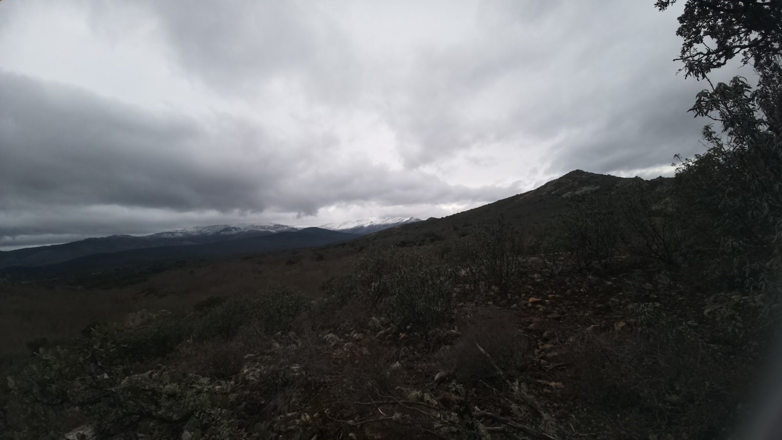 Traffic Cam El Ordial › West