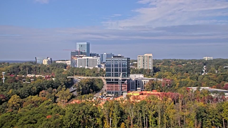 Cary webcam