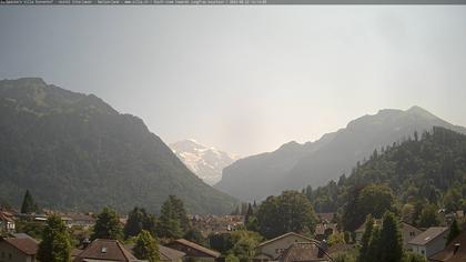 Interlaken: Schynige Platte - Jungfrau