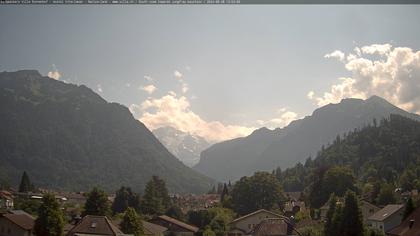 Interlaken: Schynige Platte - Jungfrau