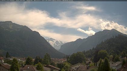 Interlaken: Schynige Platte - Jungfrau