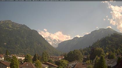 Interlaken: Schynige Platte - Jungfrau