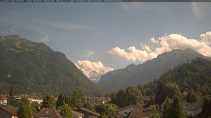 Interlaken: Schynige Platte - Jungfrau