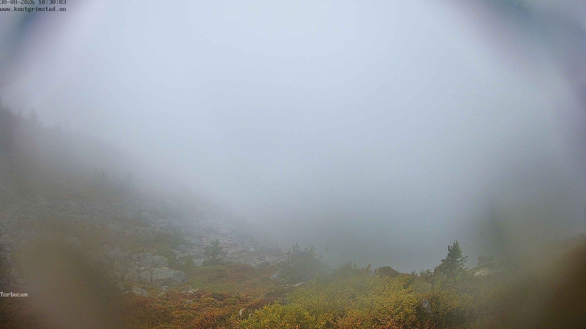 Traffic Cam Møre og Romsdal › North-West: Langvatnet