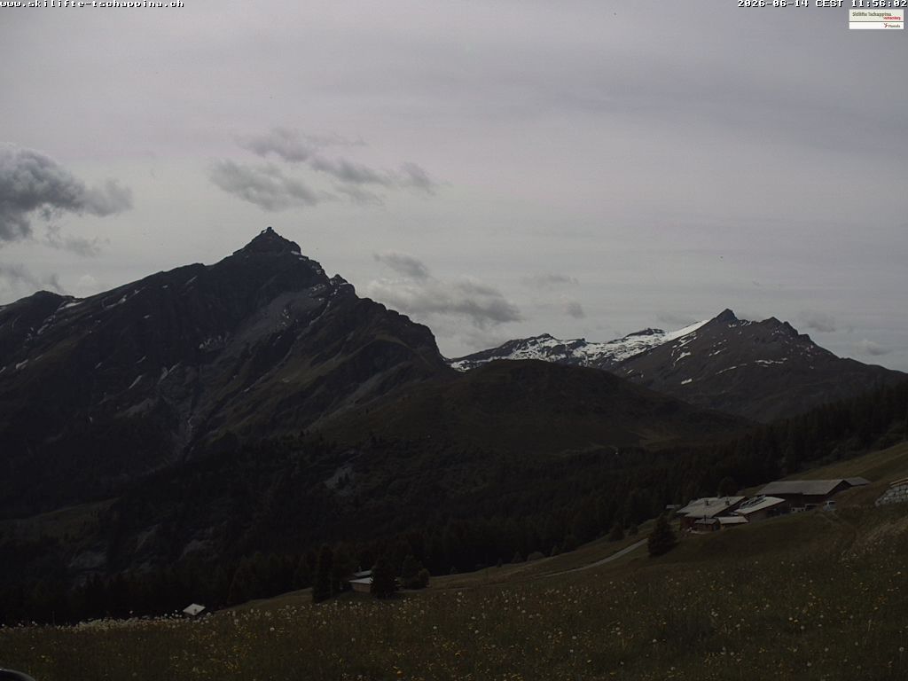 Tschappina › Süden: Obergmeind - Piz Beverin