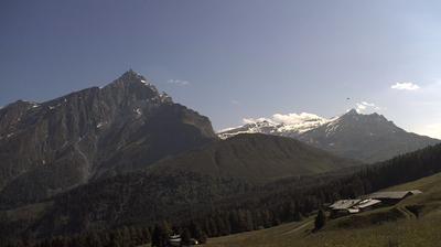 Tschappina forest webcam
