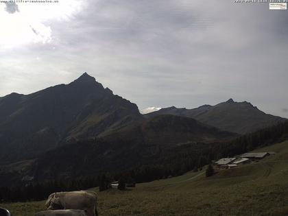 Tschappina › Süd: Obergmeind - Piz Beverin