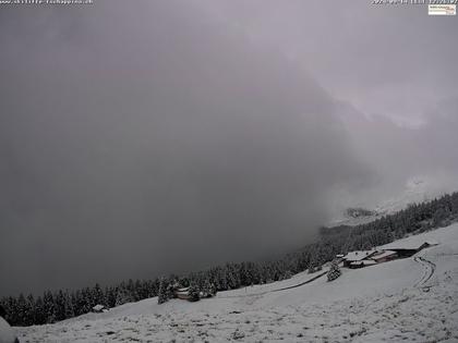 Tschappina › Süd: Obergmeind - Piz Beverin