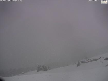 Tschappina › Süd: Obergmeind - Piz Beverin