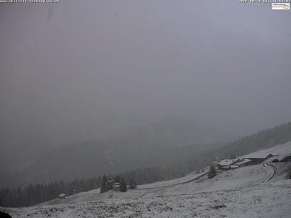 Tschappina › Süd: Obergmeind - Piz Beverin