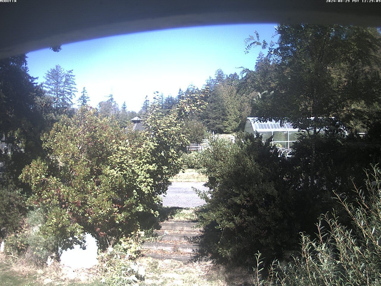 Traffic Cam Startup: Seabright Barn
