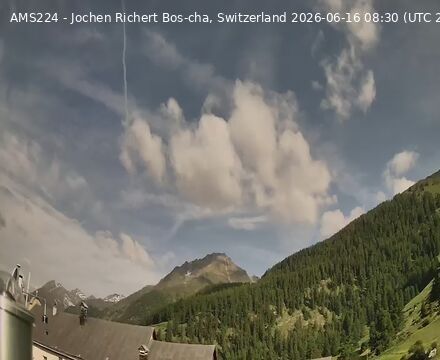 Scuol › Nordwesten: Bos-cha