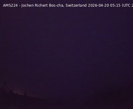 Scuol › Nordwesten: Bos-cha