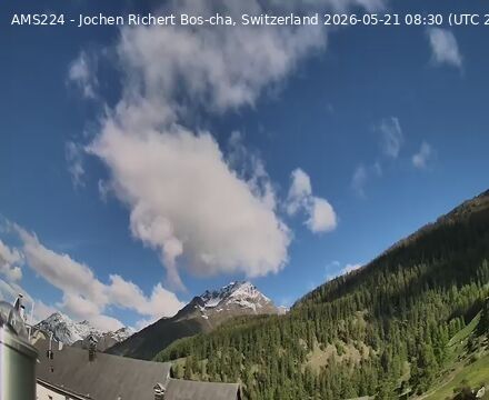 Scuol › Nordwesten: Bos-cha
