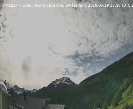 Scuol › Nordwesten: Bos-cha