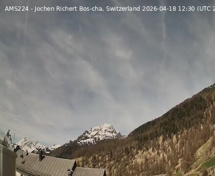 Scuol › Nordwesten: Bos-cha