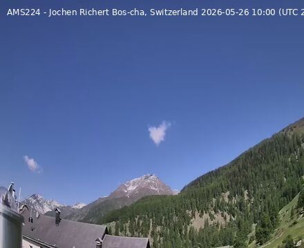 Scuol › Nordwesten: Bos-cha