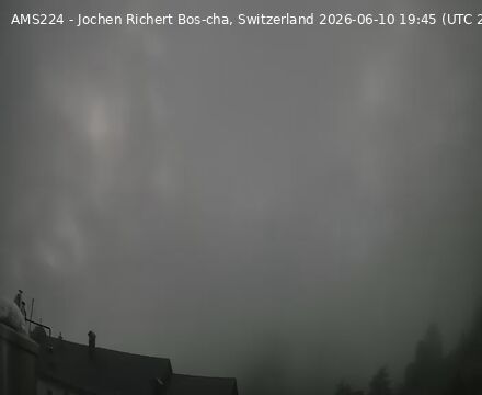Scuol › Nordwesten: Bos-cha