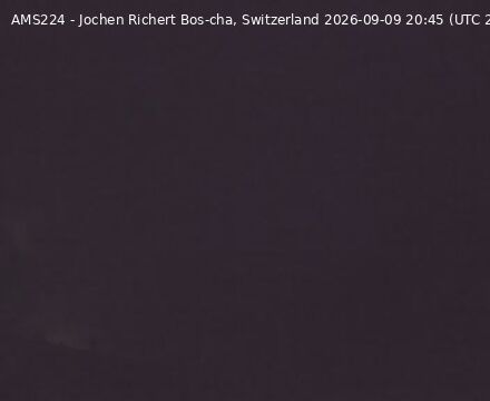 Scuol › Nordwesten: Bos-cha