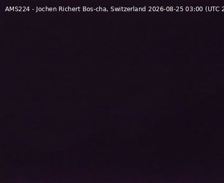 Scuol › Nordwesten: Bos-cha